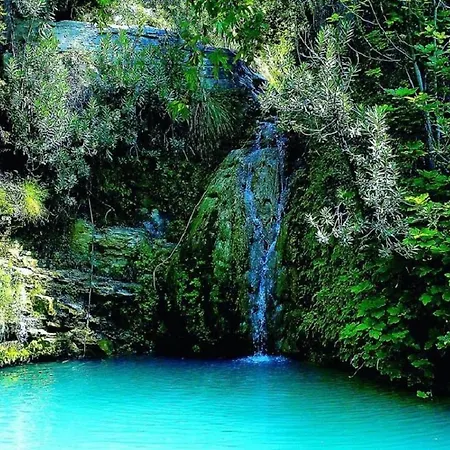 D202 Vanessa Apartments,