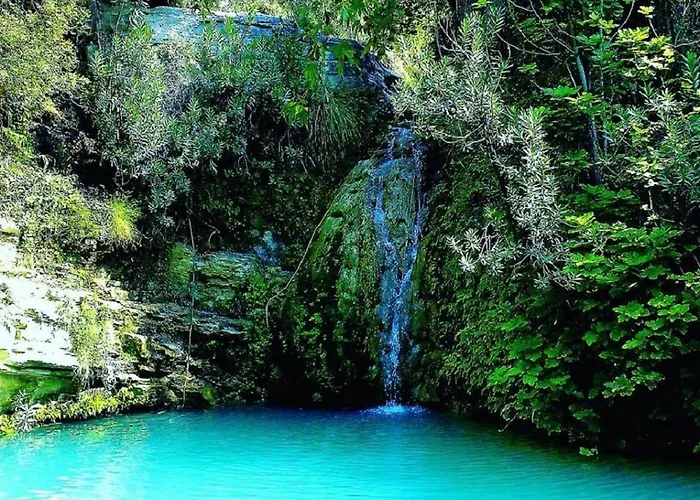 D202 Vanessa Apartments,